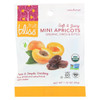 Fruit Bliss - Organic Turkish Mini Apricots - Mini Apricots - Case of 12 - 1.76 oz.