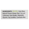 Spry Xylitol Gum - Fresh Fruit - 100 Count