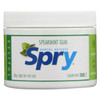 Spry Chewing Gum - Xylitol - Spearmint - 100 count - 1 each