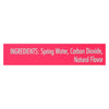 Saratoga Springs Water Sparkling Water - Wild Berry - Case of 6 - 12 Fl oz. Saratoga Springs Water Sparkling Water - Wild Berry - Case of 6 - 12 Fl oz.