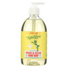 Rebel Green Hand Soap - Peppermint - Lemon - Case of 4 - 16.9 fl oz Rebel Green Hand Soap - Peppermint - Lemon - Case of 4 - 16.9 fl oz