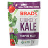 Brad's Plant Based - Raw Crunch - Vampire Killer - Case of 12 - 2 oz.