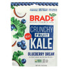 Brad's Plant Based - Crunchy Kale - Blueberry Dream - Case of 12 - 2 oz. Brad's Plant Based - Crunchy Kale - Blueberry Dream - Case of 12 - 2 oz.