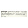 Earth's Best Organic Apple Cinnamon Oatmeal Baby Food - Stage 3 - Case of 12 - 6 oz.
