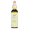 Bach Flower Remedies Essences Chestnut Bud - 0.7 fl oz