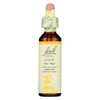 Bach Flower Remedies Essence Gorse - 0.7 fl oz Bach Flower Remedies Essence Gorse - 0.7 fl oz
