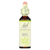 Bach Flower Remedies Essence Honeysuckle - 0.7 fl oz Bach Flower Remedies Essence Honeysuckle - 0.7 fl oz