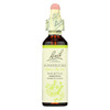 Bach Flower Remedies Essence Honeysuckle - 0.7 fl oz