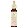 Bach Flower Remedies Essence Star of Bethlehem - 0.7 fl oz