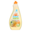 Sun & Earth - Xtra Dish Liquid Citrus - CS of 6-22 FZ