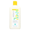 Andalou Naturals Brilliant Shine Conditioner Sunflower and Citrus - 11.5 fl oz Andalou Naturals Brilliant Shine Conditioner Sunflower and Citrus - 11.5 fl oz