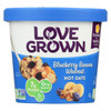 Love Grown Foods Hot Oats - Blueberry Banana and Walnut - Case of 8 - 2.22 oz.