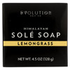 Evolution Salt Bath Soap - Sole - Lemongrass - 4.5 oz
