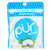 Pur Mint Gum - Peppermint - Case of 12 - 60