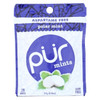 Pur Mint Mints - Polar Mint - Case of 12 - 22 Gram