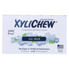 Xylichew Chewing Gum - Ice Mint - Case of 24 - 12 Pieces