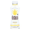 Detox Water Pina mint Detox Water - Pineapple and Mint - Case of 12 - 16 FL oz.