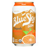 Blue Sky Orange Divine - Cane Sugar - Case of 4 - 12 oz.
