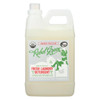 Rebel Green Laundry Detergent - Organic - Unscented - Case of 4 - 64 fl oz