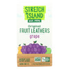 Stretch Island All-Natural Fruit Strip - Grape - Case of 9 - 4 oz.