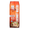 Amy and Brian - Coconut Water with Cinnamon - Case of 12 - 17.5 fl oz.