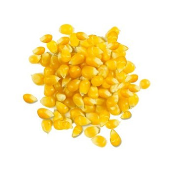 Giusto's Flour - Organic Yellow Whole Corn - Case of 25 - lb.