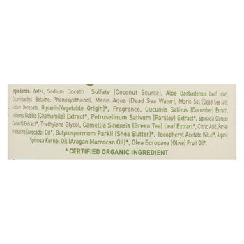 Ecolove - Hand Soap Green Vegtables - 1 Each - 17.6 OZ Ecolove - Hand Soap Green Vegtables - 1 Each - 17.6 OZ