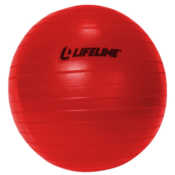 Lifeline Fitness - Mini Core Bar - 1 Each - .9 LB