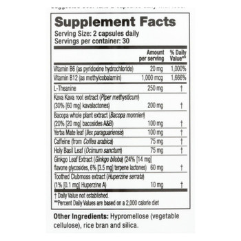 Lifeseasons Neuro-T Brain Focus Support  - 1 Each - 60 CT Lifeseasons Neuro-T Brain Focus Support  - 1 Each - 60 CT