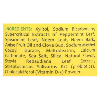 Theraneem Naturals Gentle Mint Therape Neem Tooth & Gum Powder  - 1 Each - 40 GRM