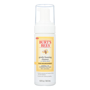 Burts Bees Cleanser - Foam - Skin Nourish - 4.8 fl oz