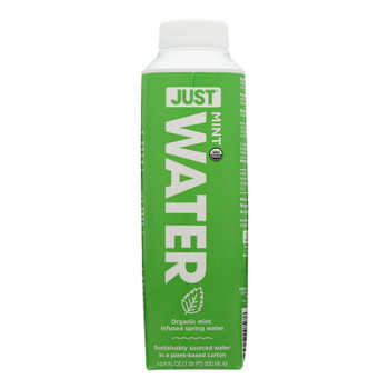 Just Water - Water Mint Infused - Case of 12 - 16.9 FZ