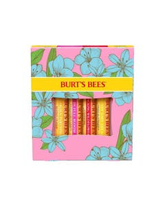 Burt's Bees In Full Bloom Lip Balms 4 (0.15 oz.) tubes in blister box