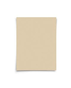 Harold Import HIC Unbleached Pre-Cut Parchment Paper Sheets 24 count Harold Import HIC Unbleached Pre-Cut Parchment Paper Sheets 24 count