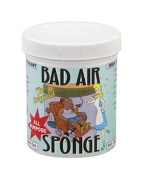Bad Air Sponge Bad Air Sponge
