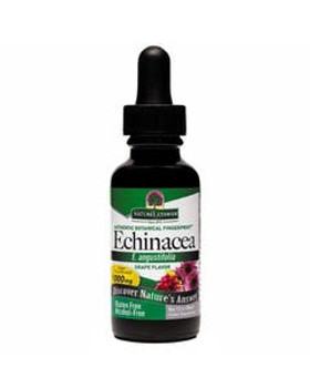 Nature's Answer Echinacea Extract 1 fl. oz. Nature's Answer Echinacea Extract 1 fl. oz.
