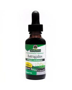 Nature's Answer Astragalus Root Extract 1 fl. oz. Nature's Answer Astragalus Root Extract 1 fl. oz.