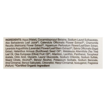 Jason Pure Natural Purifying Tea Tree Hand Soap - 16 fl oz Jason Pure Natural Purifying Tea Tree Hand Soap - 16 fl oz