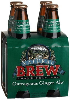 Natural Brew Soda Outrageous Ale - Ginger - Case of 6 - 12 Fl oz.