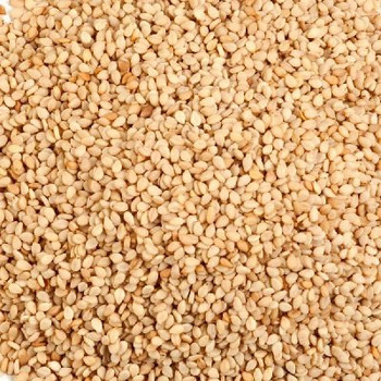 Bulk Seeds Organic Natural Sesame Raw - Single Bulk Item - 25LB