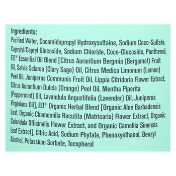 Everyone Soap - 3 In 1 - Men - Sage - Verbena - 16 fl oz Everyone Soap - 3 In 1 - Men - Sage - Verbena - 16 fl oz