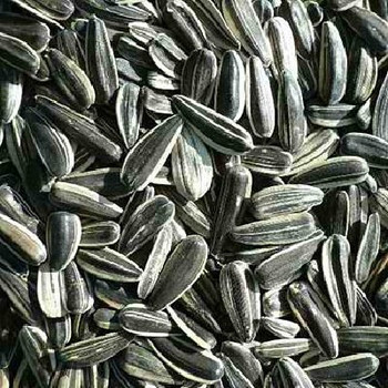 Bulk Seeds Sunflower Seeds Roasted & Salted Shelled - Single Bulk Item - 25LB