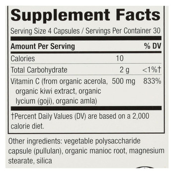 Nature's Way - Alive! Fruit Source Vitamin C - 120 Vegetarian Capsules