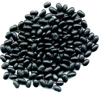 Bulk Peas And Beans Organic - Beans Og1 Black Turtle - CS of 25-#