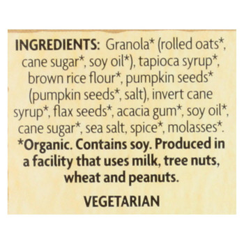 Nature's Path Organic Flax Plus Granola Bar - Pumpkin-N-Spice - Case of 6 - 7.4 oz.