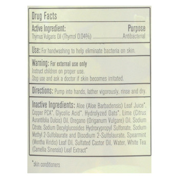 CleanWell Natural Antibacterial Foaming Handsoap - Spearmint Lime - 9.5 oz