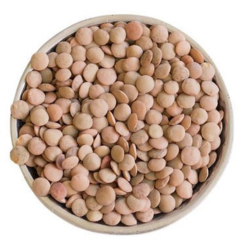 Bulk Peas and Beans Organic Lentils Brown - Single Bulk Item - 25LB