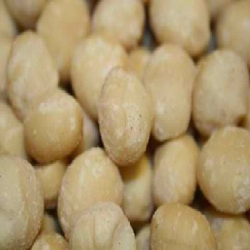 Bulk Nuts Macadamia Nuts - Raw - 5 lb. Bulk Nuts Macadamia Nuts - Raw - 5 lb.