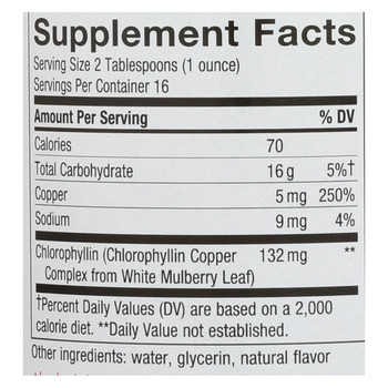 Nature's Way - Chlorofresh Liquid Chlorophyll Natural Mint - 16 fl oz Nature's Way - Chlorofresh Liquid Chlorophyll Natural Mint - 16 fl oz