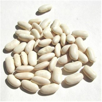 Bulk Peas and Beans Great Northern Beans - Single Bulk Item - 25LB Bulk Peas and Beans Great Northern Beans - Single Bulk Item - 25LB